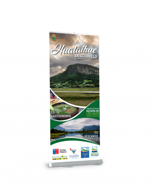 Pendón Roller Pendón Roller